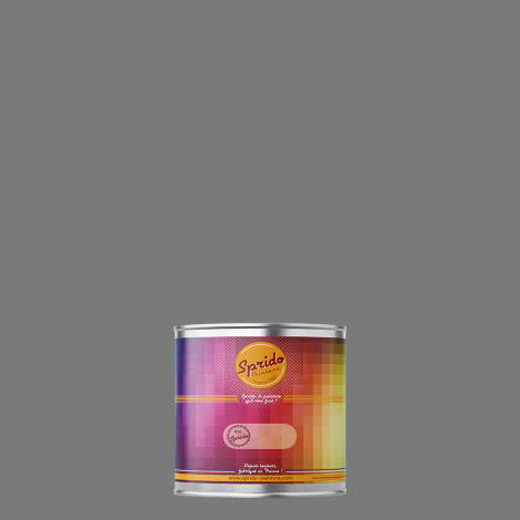 Peinture RAL by Sprido 9023 Gris foncé métal en pot retouche 100 ml