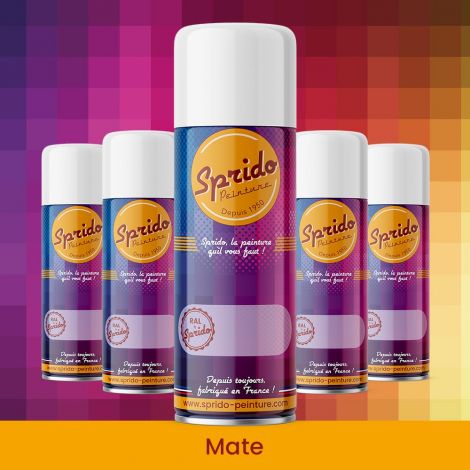 Peinture RAL mate aérosol 400 ml Peinture RAL mate aérosol 400 ml