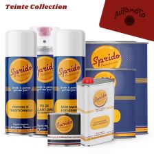Peinture Sprido AUTOMOTO vert foncé cyclomoteur moto