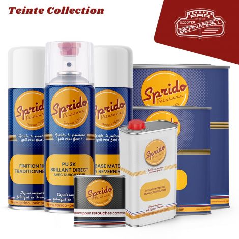 Peinture Sprido Bernardet teinte beige pour jantes